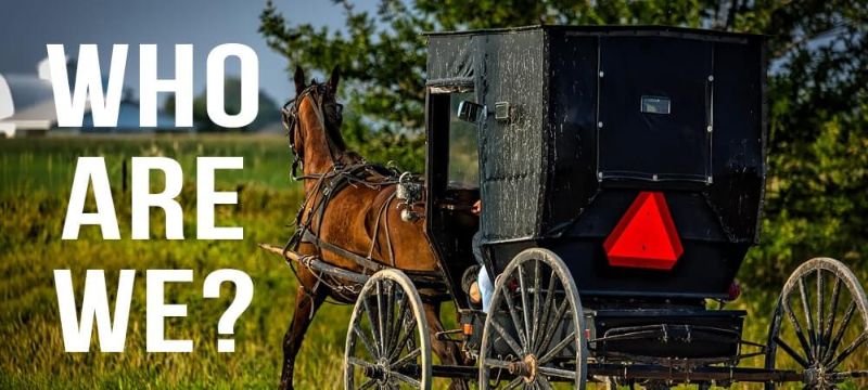 Золото амишей. Sad Amish эскизы.